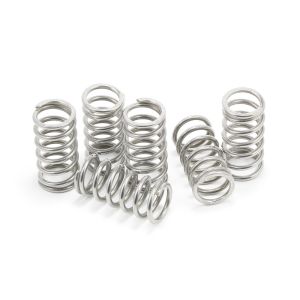 EVR Ducati Clutch Stainless Steel Spring Kit