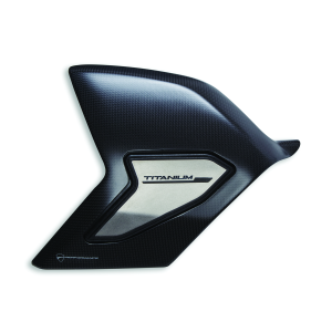 Streetfighter V4 Carbon Titanium Swinging Arm Cover