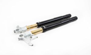 Ducati Panigale 899 959 V4 V2 & Streetfighter V2 Öhlins Street R&T 43 Black Front Forks FGRT 214