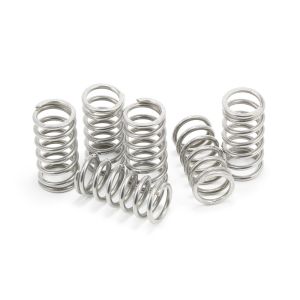 EVR Ducati Clutch Stainless Steel Spring Kit