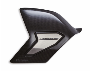 Streetfighter V4 Carbon and Titanium Swingarm Cover